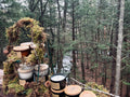 TREEHOUSE JAR CANDLES