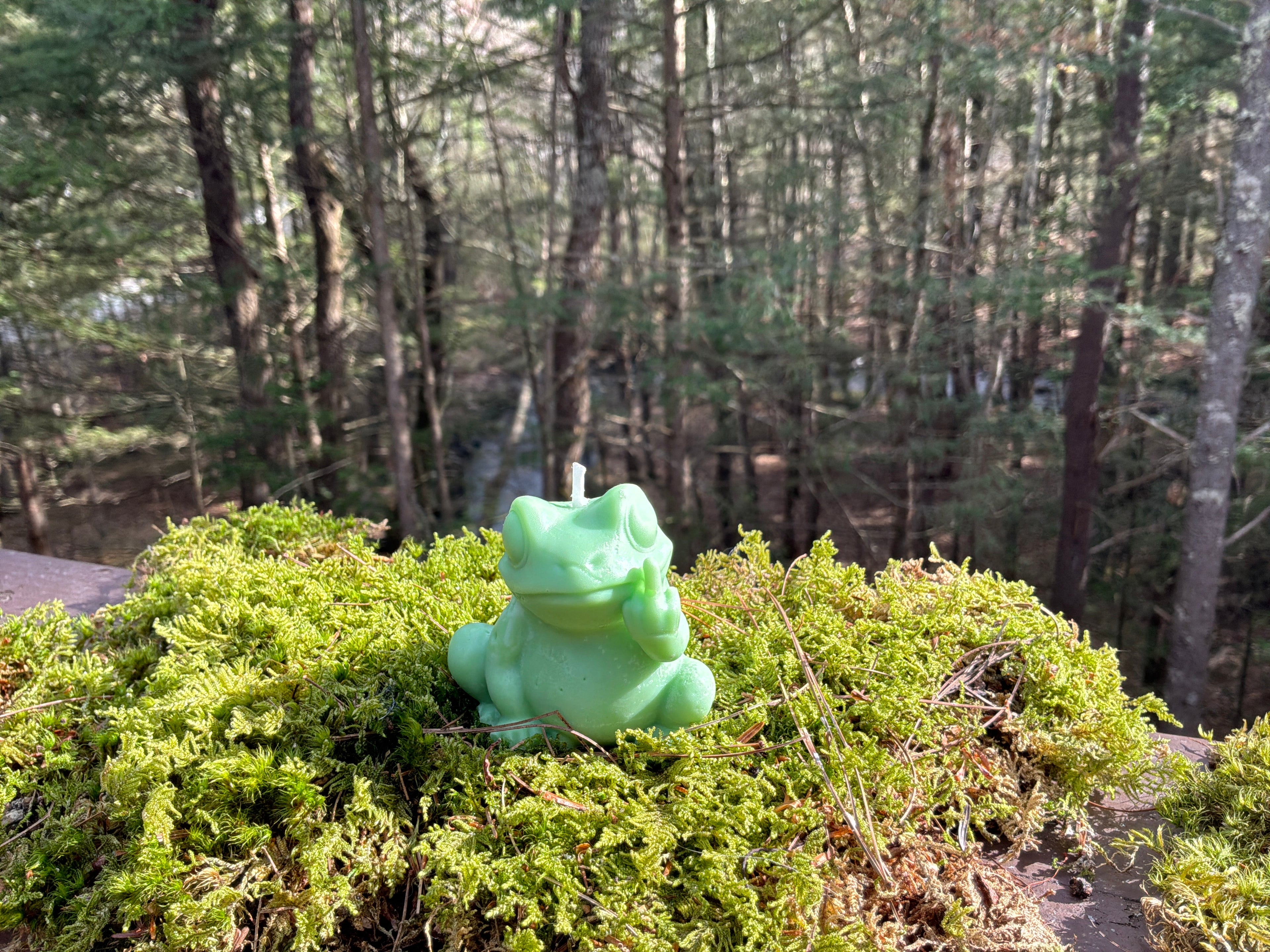 Frisky Froggy